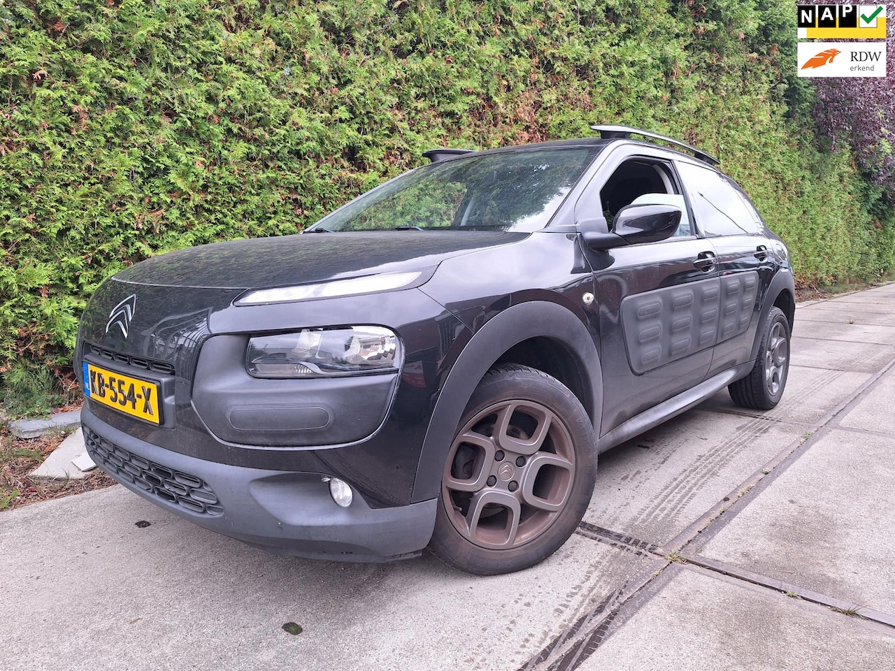 Citroën C4 Cactus - 1.2 PureTech Shine 1.2 PureTech Shine - AutoWereld.nl
