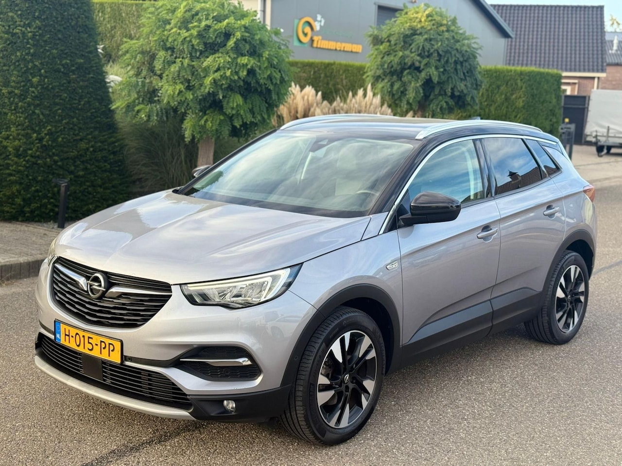 Opel Grandland X - 1.5 CDTi Innovation 2020 Navi/Clima/Lmv - AutoWereld.nl