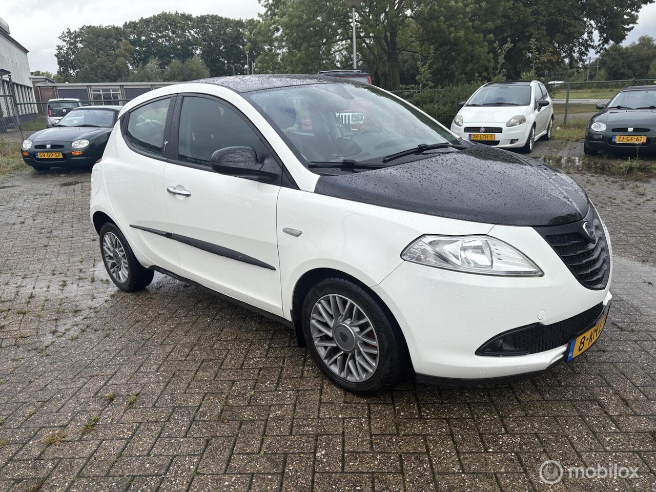 Lancia Y(psilon) - Ypsilon 0.9 TwinAir Silver - AutoWereld.nl