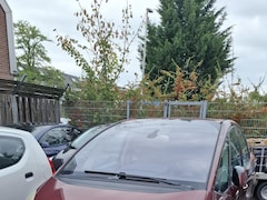 Citroën C4 Picasso - 2.0-16V Exclusive 5p. B2B/ZO MEE/HANDEL APK TOT 28-10-2025