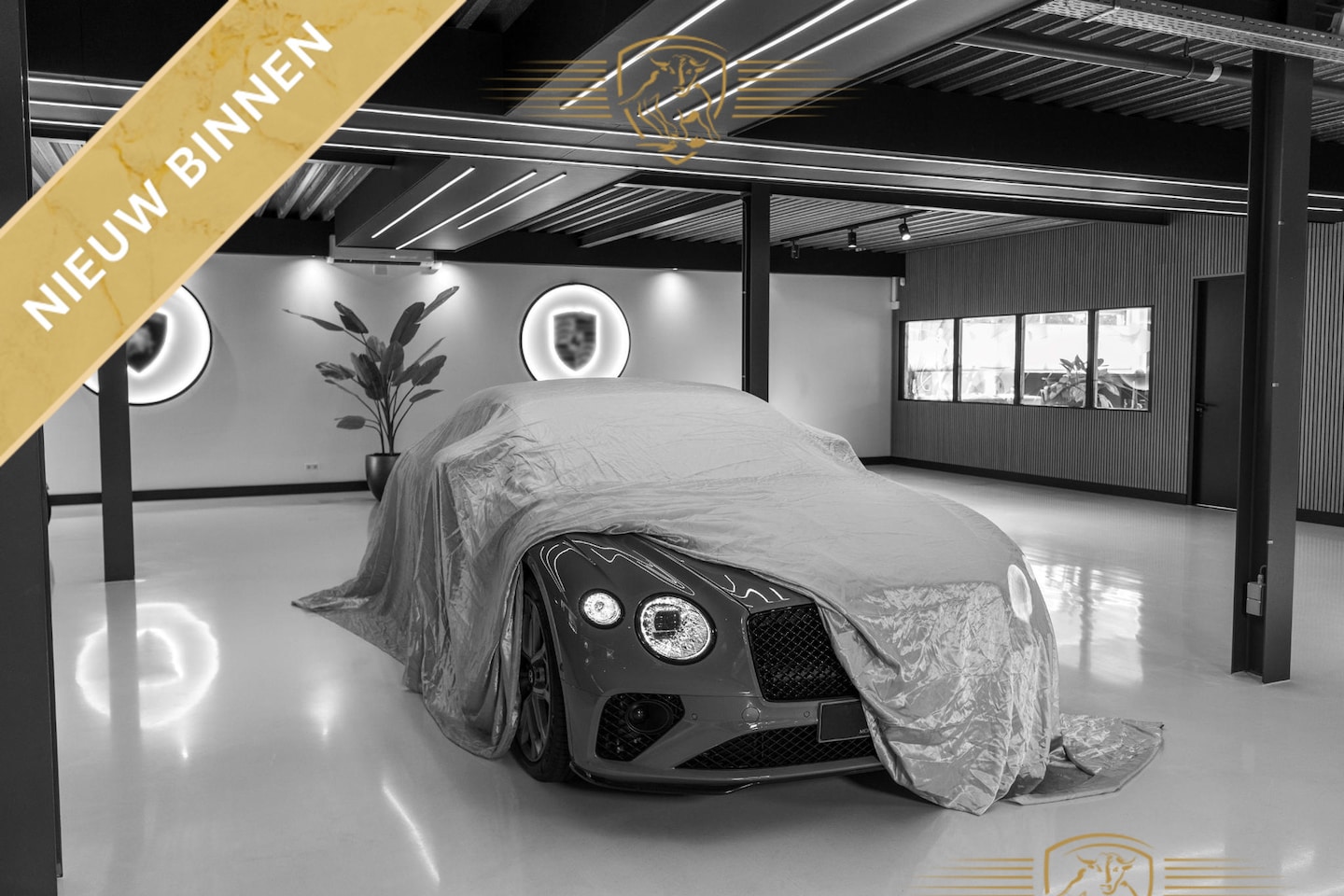 Audi Q8 Sportback e-tron - 55 quattro S Edition 115 kWh Audi Q8 sportback 55 e-tron - AutoWereld.nl