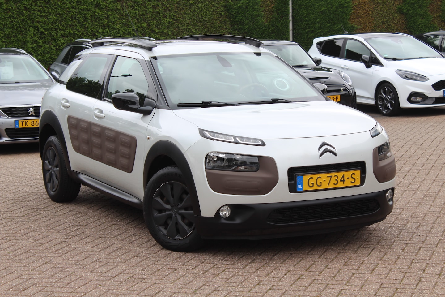 Citroën C4 Cactus - 1.6 BlueHDi Business / Panoramadak / Camera / Leder / Navigatie / Stoelverwarming / Cruise - AutoWereld.nl