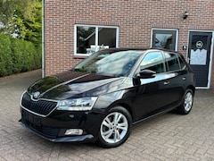 Skoda Fabia - 1.0 TSI Ambition DSG
