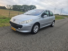 Peugeot 307 - 1.6-16V XS