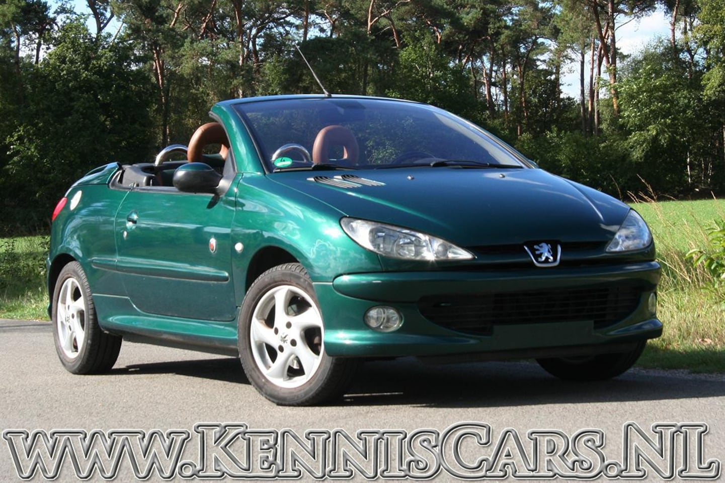Peugeot 206 - 2003 Cabrio Roland Garros Cabrio - AutoWereld.nl