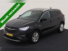 Opel Grandland X - 1.2 Turbo Business Executive NL AUTO | CAMERA | CRUISE | 1\2 LEDER