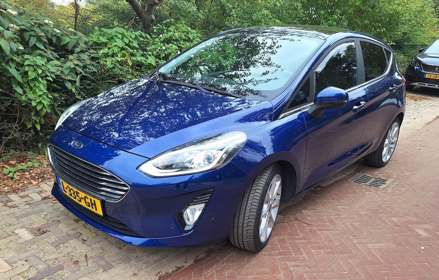 Ford Fiesta - 1.0 EcoBoost Titanium 100 pk Panoramadak Prachtige uitvoering! - AutoWereld.nl