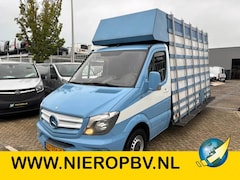 Mercedes-Benz Sprinter - 313 cdi glasresteel