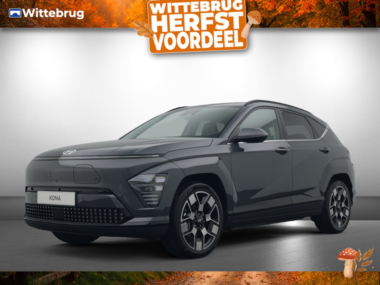 Hyundai Kona Electric - Premium 65.4 kWh ECO Volledig Elektrisch met Navigatie, Lederen bekleding en Stoelverwarmi - AutoWereld.nl
