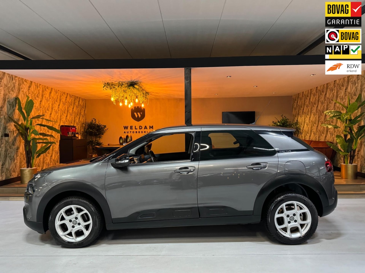 Citroën C4 Cactus - 1.2 PureTech Shine Garantie CarPlay Cruise Clima Navi Led DAB Parkeerhulp Rijklaar - AutoWereld.nl