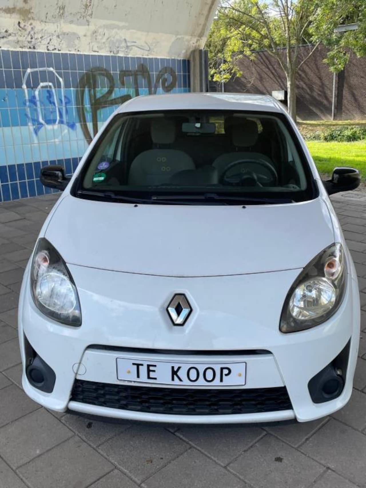 Renault Twingo - 1.2-16V Collection **Sportief & Jeugdig** Mooie starter - AutoWereld.nl