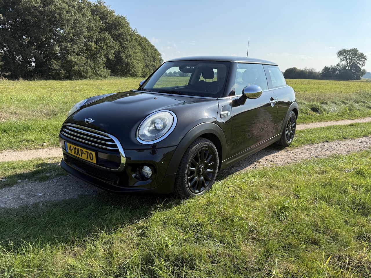 MINI Cooper - Mini 1.5 Chili Business. Half leer,Navi,LED. Zeer mooi !! - AutoWereld.nl