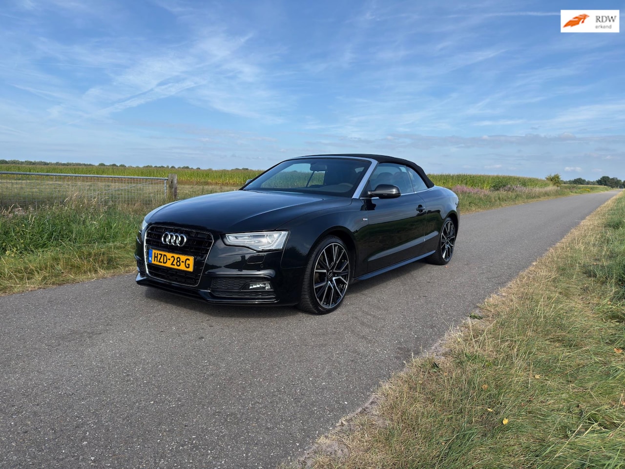 Audi A5 Cabriolet - 2.0 TFSI Pro Line S 2.0 TFSI Pro Line S - AutoWereld.nl