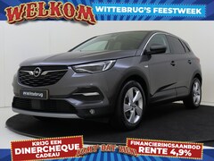 Opel Grandland X - 1.2 Turbo Business Executive | Winterpack | Camera | Comfortstoel | Navigatie