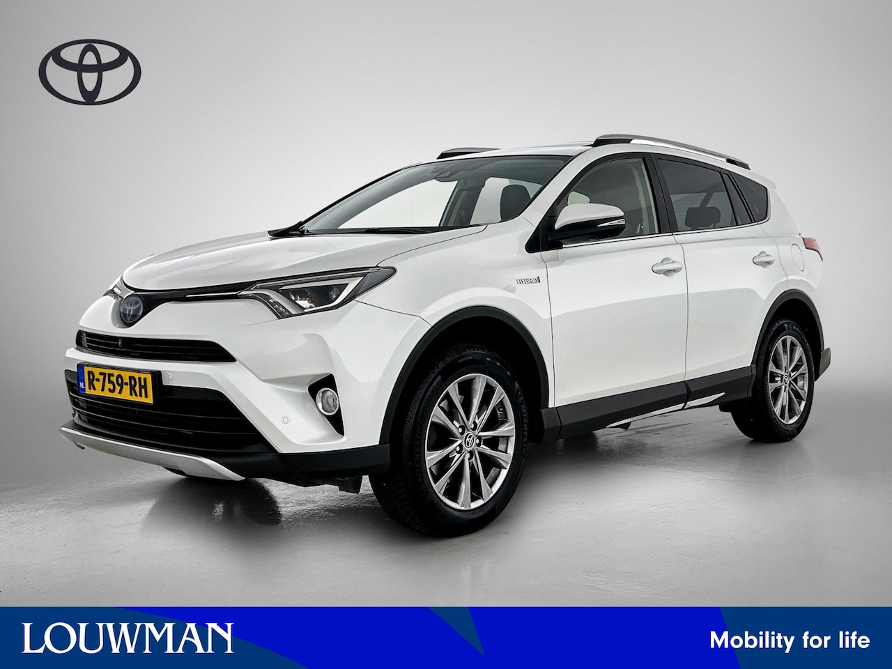 Toyota RAV4 - 2.5 Hybrid AWD Executive Business | 1.650 kg Trekgewicht | Schuif- Kanteldak | - AutoWereld.nl