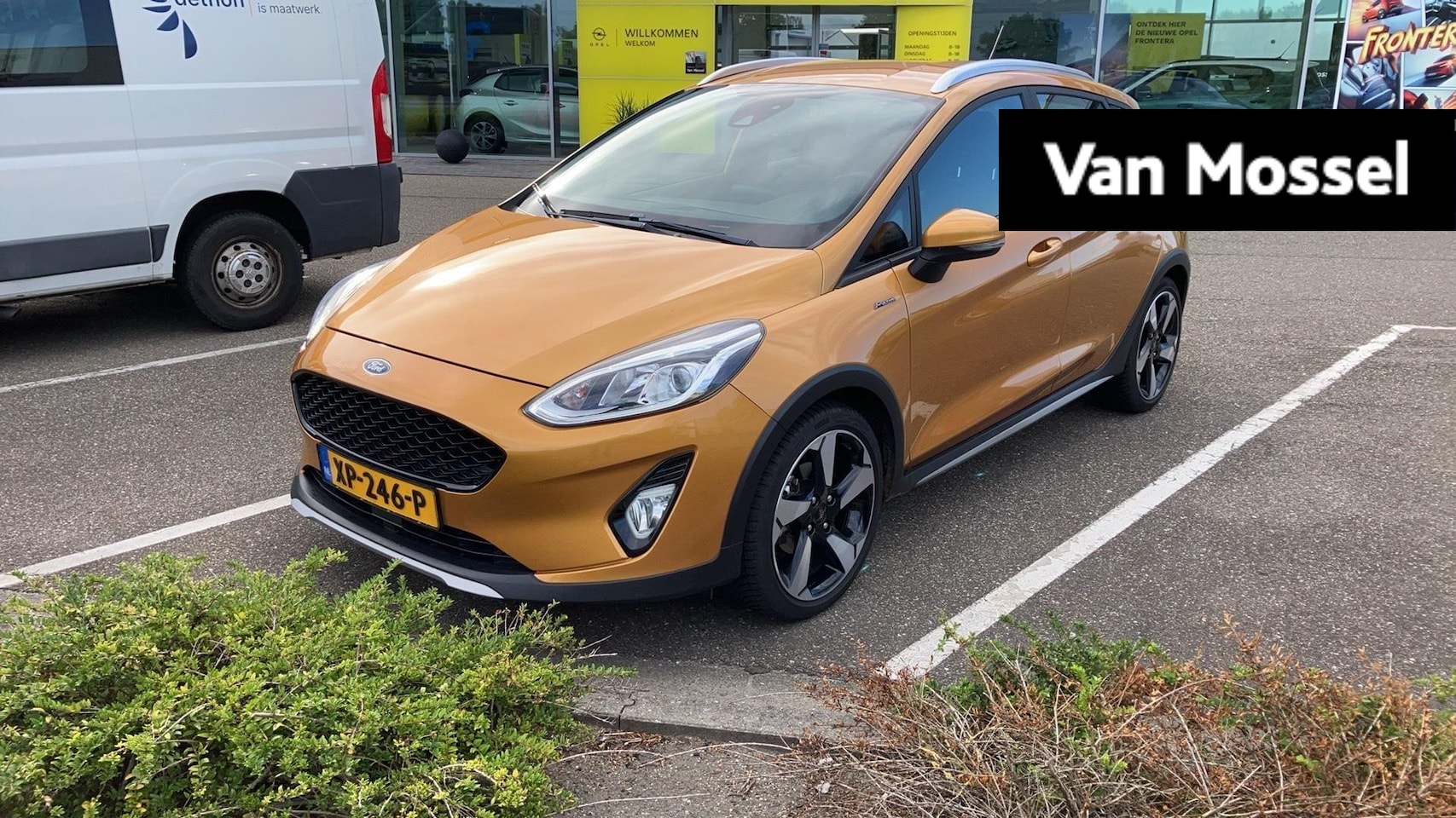Ford Fiesta - 1.0 EcoBoost Active First Edition | 1e-Eigenaar | Apple CarPlay | Yellow Luxe | Parkeersen - AutoWereld.nl