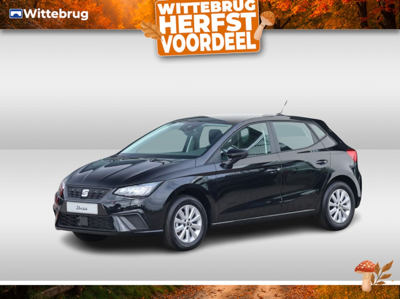 SEAT Ibiza - 1.0 EcoTSI Style 1.0 EcoTSI Style - AutoWereld.nl