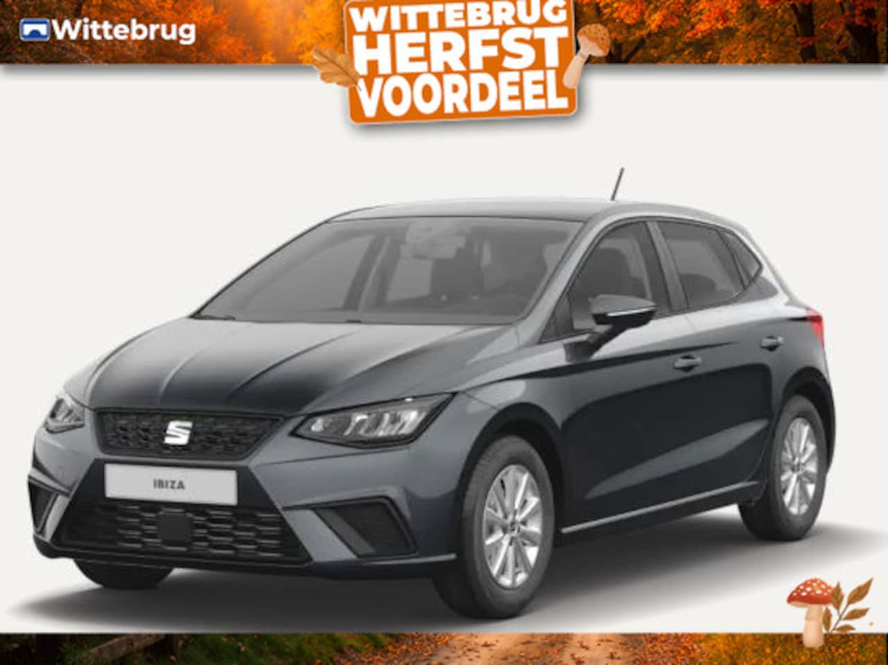 SEAT Ibiza - 1.0 EcoTSI Style 1.0 EcoTSI Style - AutoWereld.nl