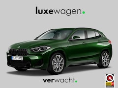 BMW X2 - xDrive25e M-Sport Goldplay Pano ACC HUD Camera M-zetels