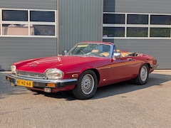Jaguar XJS - V12