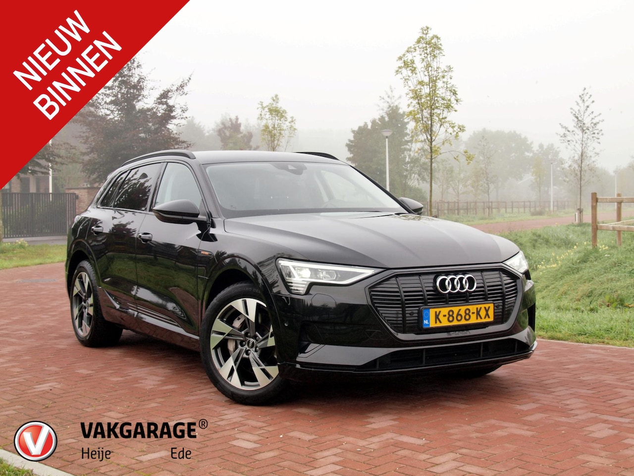 Audi e-tron - 55 quattro Business edition 95 kWh | Camera | Apple Carplay | Cruise Control | Stoelverwar - AutoWereld.nl