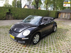 Volkswagen New Beetle Cabriolet - 2.0 Highline 16 inch lm, stoelverwarming