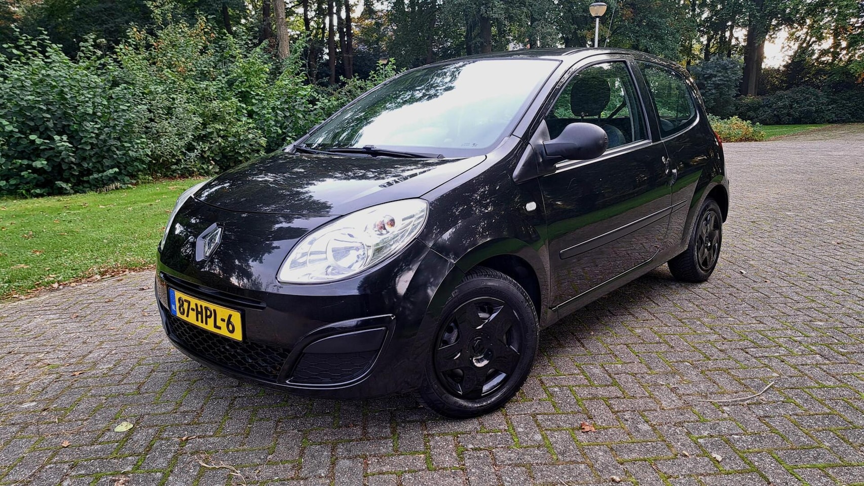 Renault Twingo - 1.2 Authentique AIRCO ELEK RAMEN TOP OH.! - AutoWereld.nl