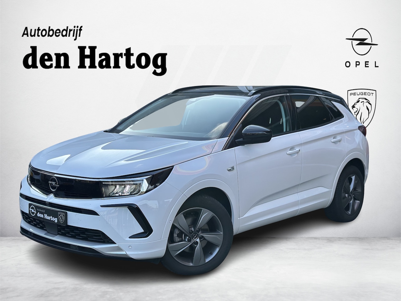 Opel Grandland - 1.2 Turbo Elegance Automaat Camera/Stoel en stuurverwarming/Zelf inparkeren. - AutoWereld.nl