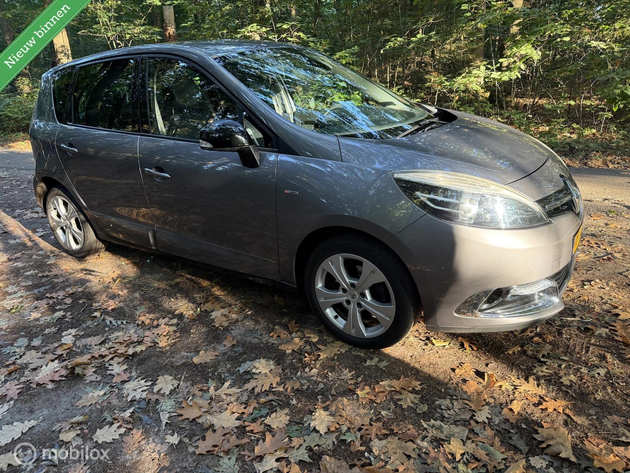 Renault Scénic - 1.2 TCe Bose 1.2 TCe Bose - AutoWereld.nl