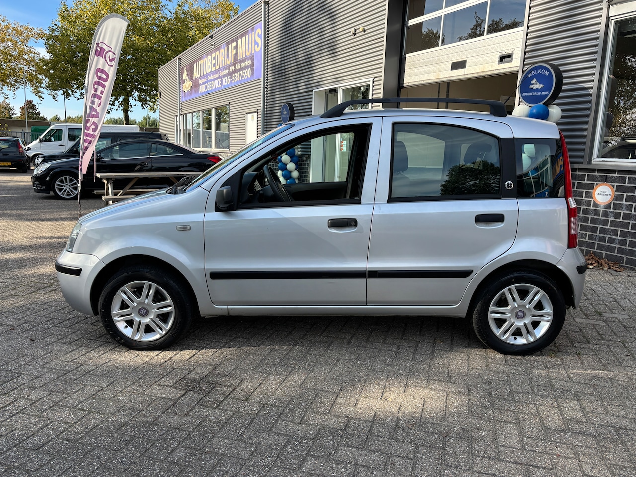Fiat Panda - 1.2 Dynamic | Stuurbekr. Lage km. Goed onderhouden.