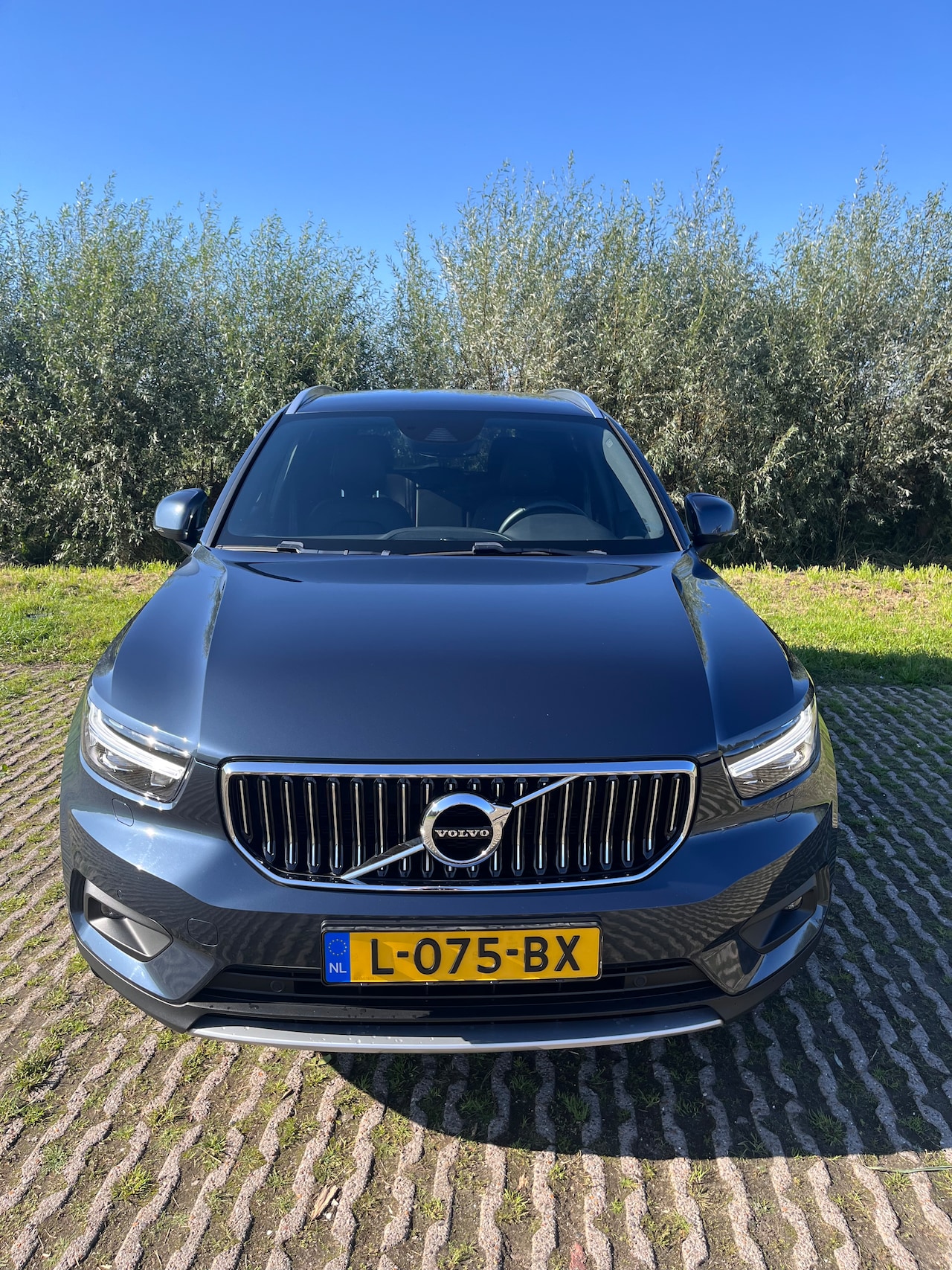 Volvo XC40 - 1.5 T3 Inscription - AutoWereld.nl