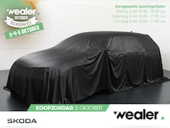 Skoda Fabia - 1.0 TSI Business Edition | 95 PK | Achteruitrij camera | Parkeersensoren | Cruisecontrol