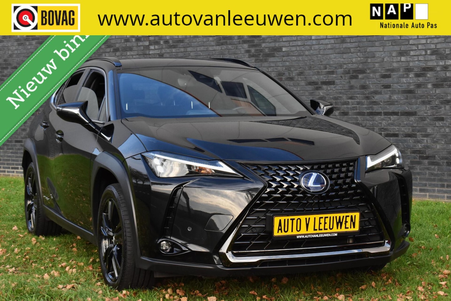 Lexus UX - 250h Midnight Edition ACC/BLIND SPOT/ELEK. A KLEP/ETC.! - AutoWereld.nl