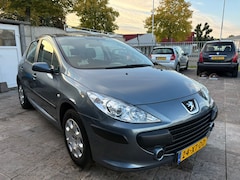 Peugeot 307 - 1.6-16V D.Sign
