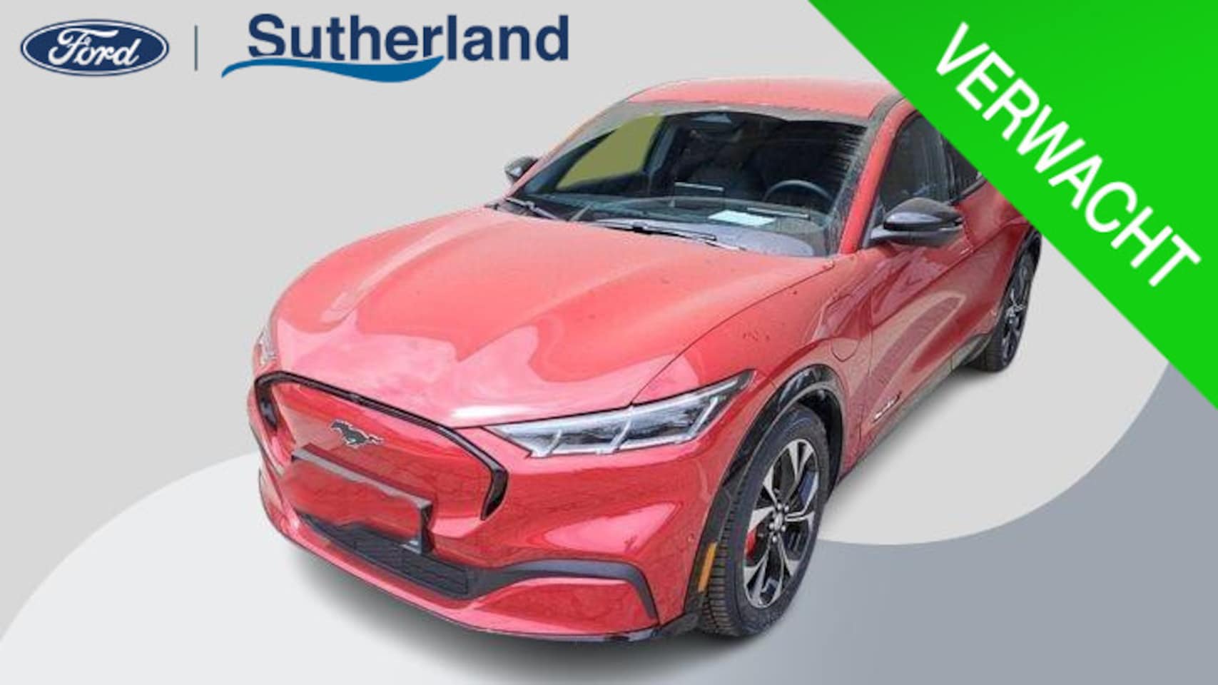 Ford Mustang Mach-E - Extended Premium RWD 98 kWh 294pk | Technology Pack plus | 1.500kg Trekgewicht - AutoWereld.nl