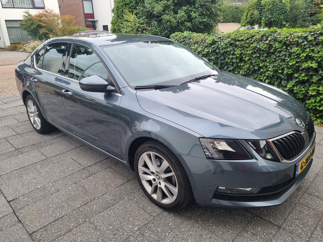 Skoda Octavia - 1.0 TSI Greentech Business Edition - AutoWereld.nl