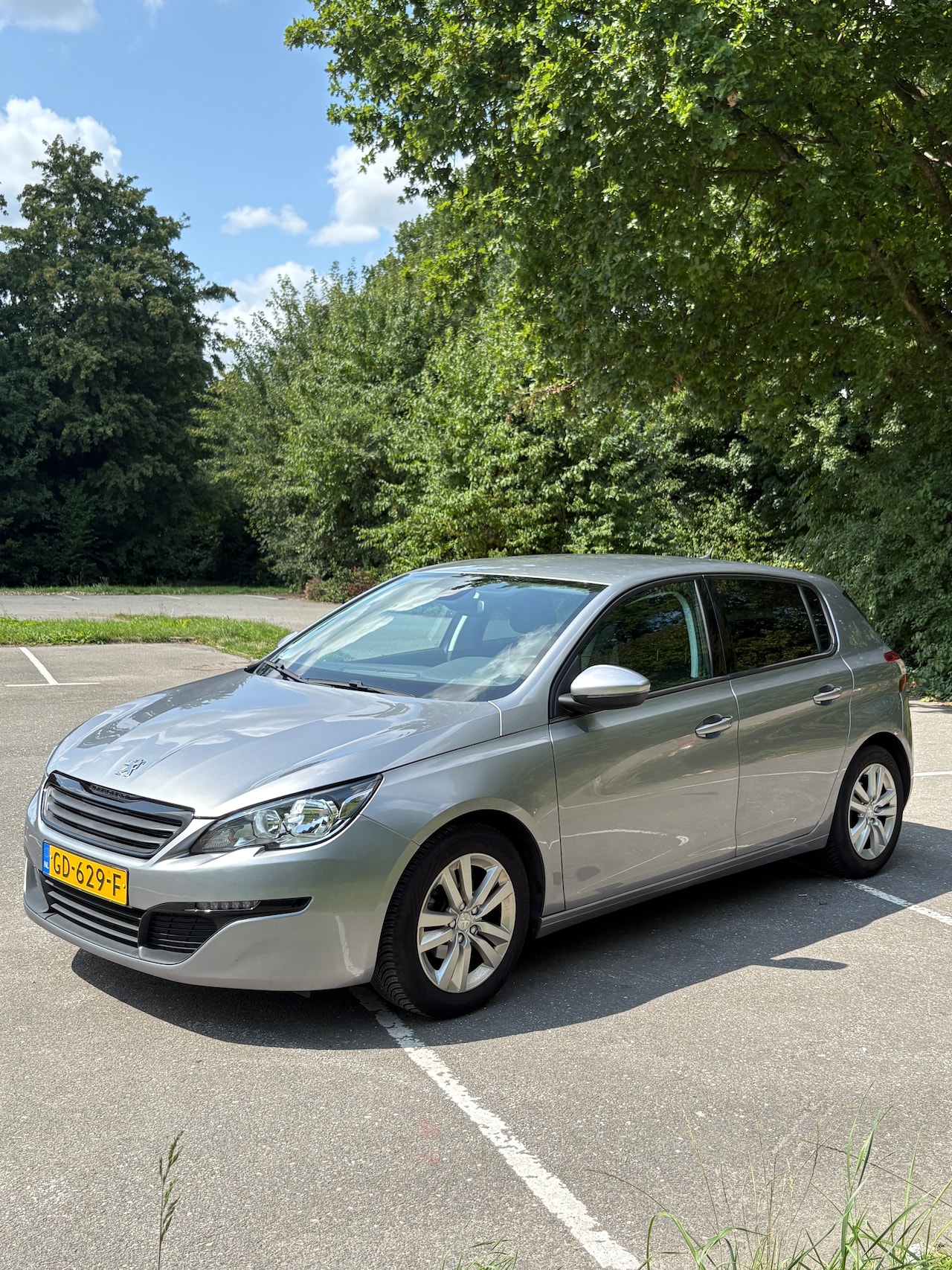 Peugeot 308 - 1.2 PureTech Active Perfect onderhouden - AutoWereld.nl