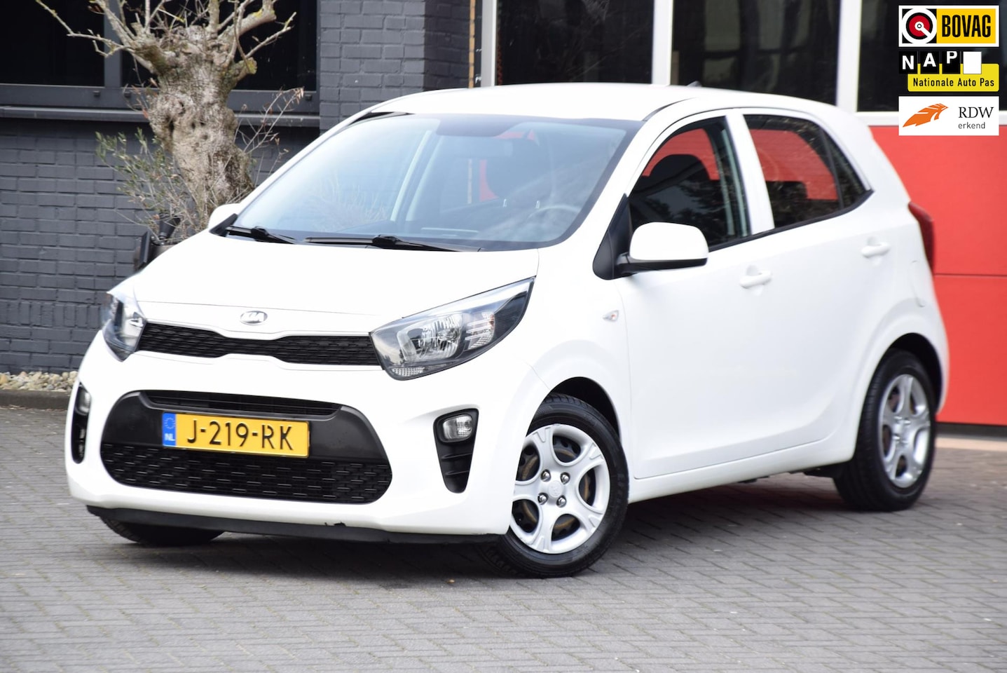 Kia Picanto - 1.0 CVVT ComfortLine 2019 Airco Stuurbediening 5 Deurs 15x op voorraad - AutoWereld.nl