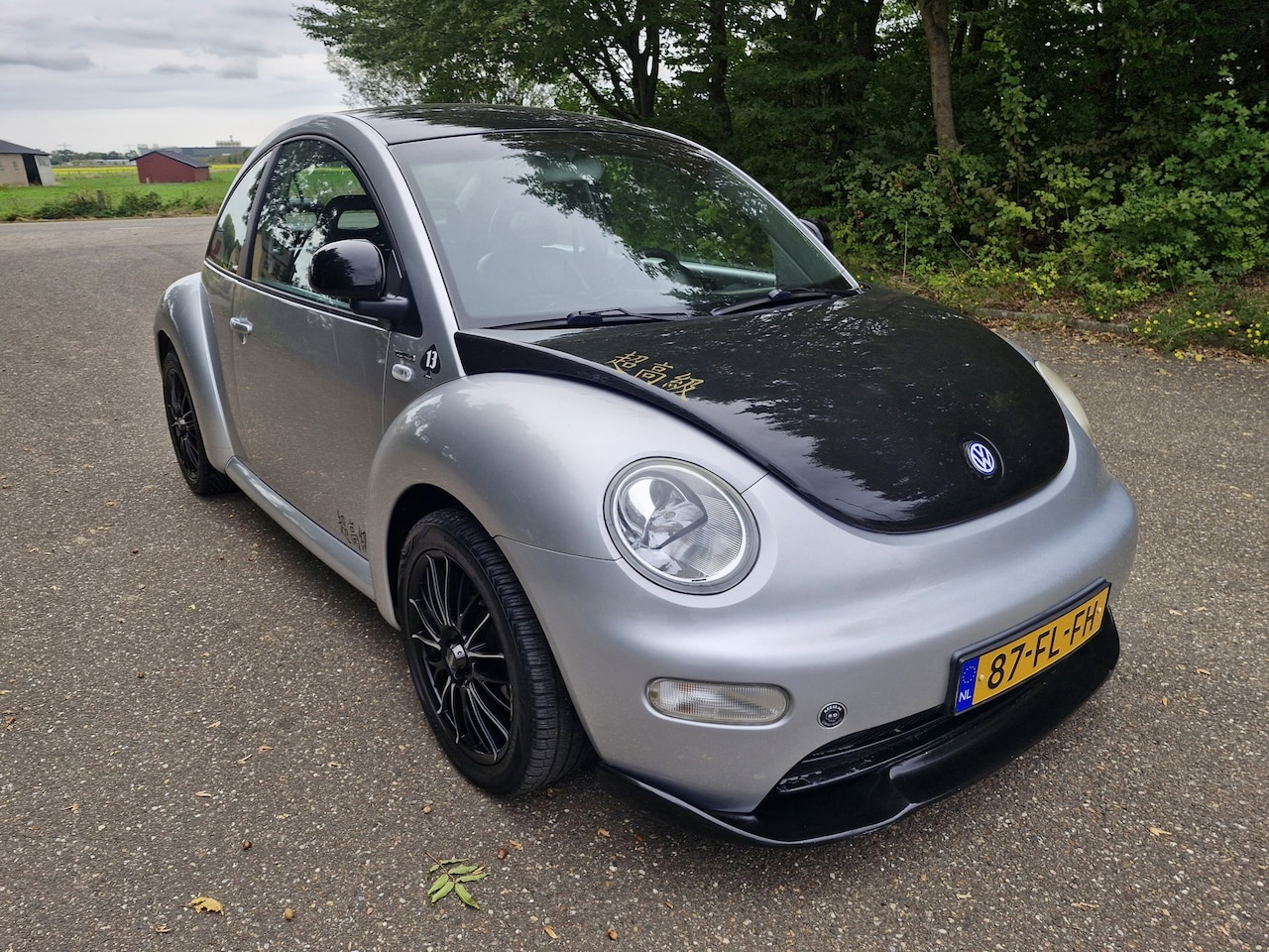 Volkswagen New Beetle - 2.0 Highline | APK 04-2026 - AutoWereld.nl