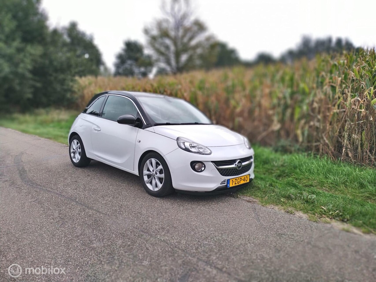 Opel ADAM - 1.0 rocks - AutoWereld.nl