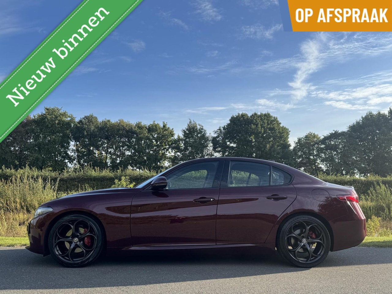 Alfa Romeo Giulia - 2.0T 2.0T 310pk, 19inch!! Veel opties!! - AutoWereld.nl