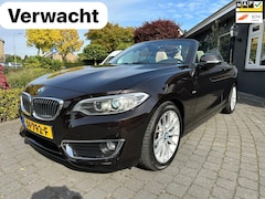 BMW 2-serie Cabrio - 218i High Executive, Org NL, Leder, NAP