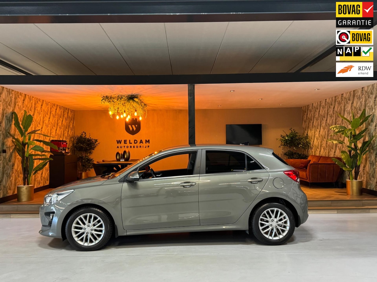 Kia Rio - 1.0 T-GDi MHEV DynamicPlusLine Garantie Camera CarPlay StuurVW StoelVW Lane Blindspot ACC - AutoWereld.nl
