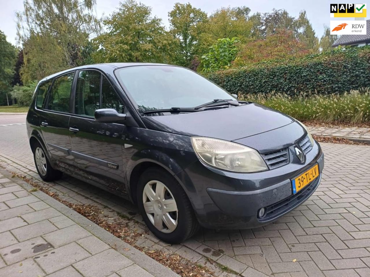 Renault Grand Scénic - 2.0-16V Business Line 7p. 2.0-16V Business Line 7p. - AutoWereld.nl