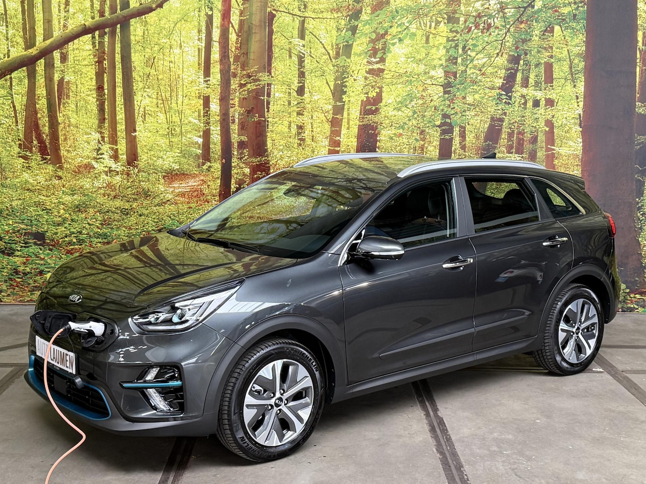 Kia e-Niro - Edition 64 kWh Full Electric Automaat Leder Navi Camera Stoel- Stuurverwarming ACC Rijstro - AutoWereld.nl