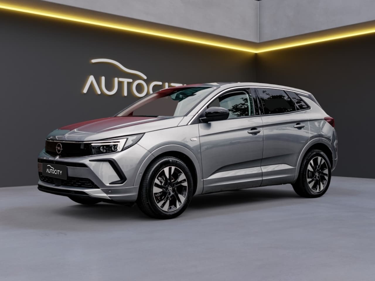Opel Grandland X - Grandland 1.2 Turbo Business Ultimate | Winterpakket l Matrix LE - AutoWereld.nl