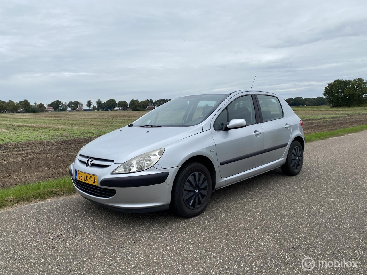 Peugeot 307 - 1.6-16V XS airco cruise 5drs - AutoWereld.nl