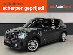 MINI Countryman - 2.0 Cooper S ALL4 ALL4 / Pano / Virtual / Camera / CarPlay / Navi