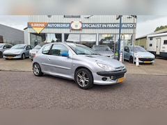 Peugeot 206 - GTI DNRT CUPAUTO'S 14x 2.0 16V