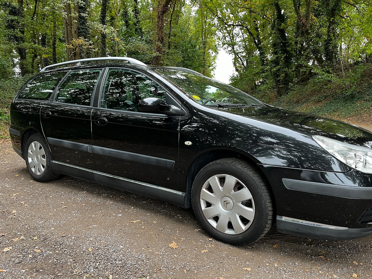 Citroën C5 Break - 2.0-16V Exclusive - AutoWereld.nl